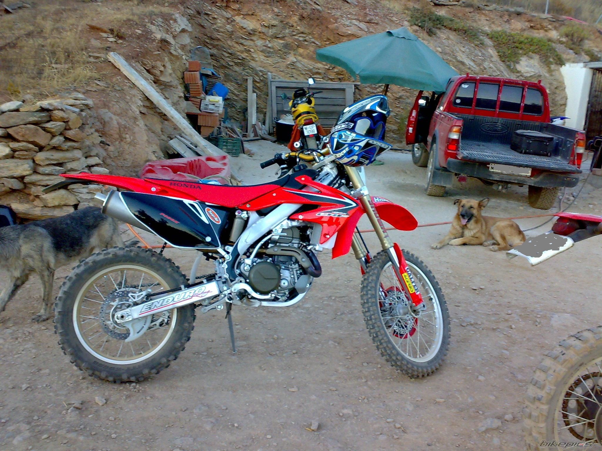 Photo 1372292