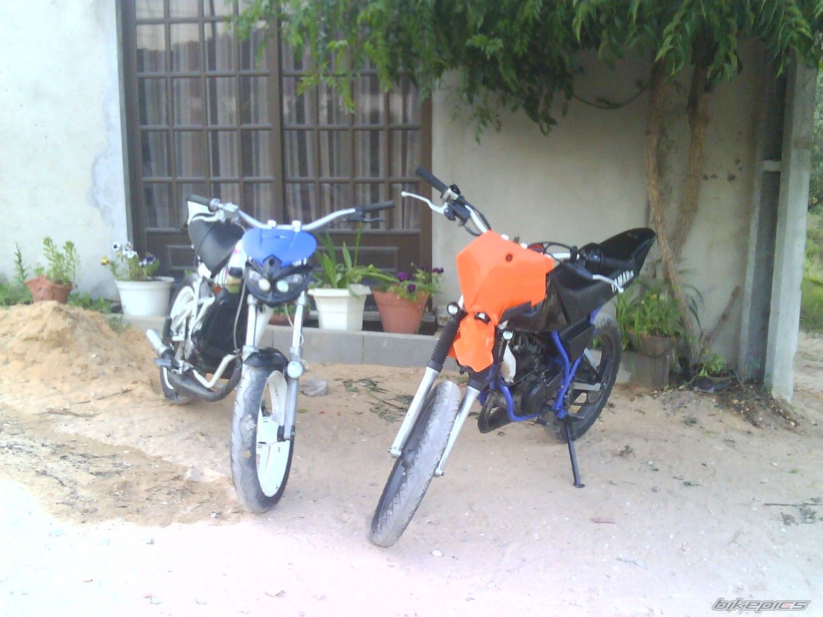 Photo 1372327