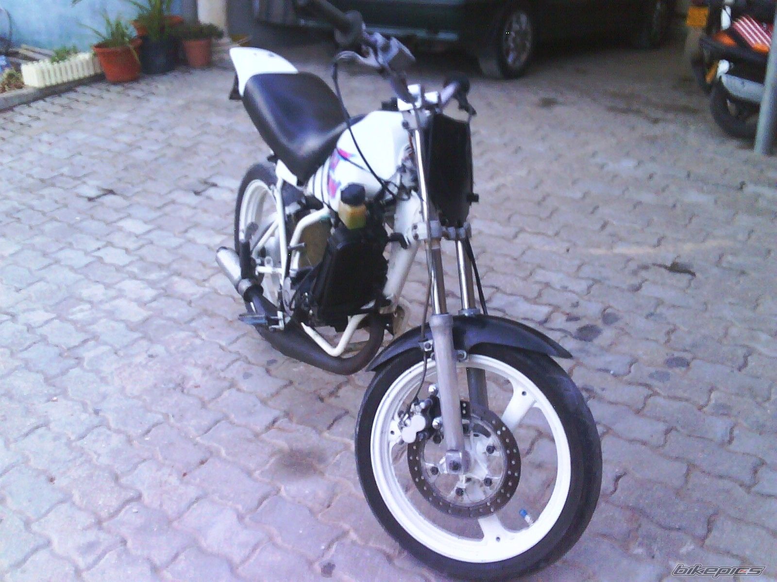 Photo 1372328