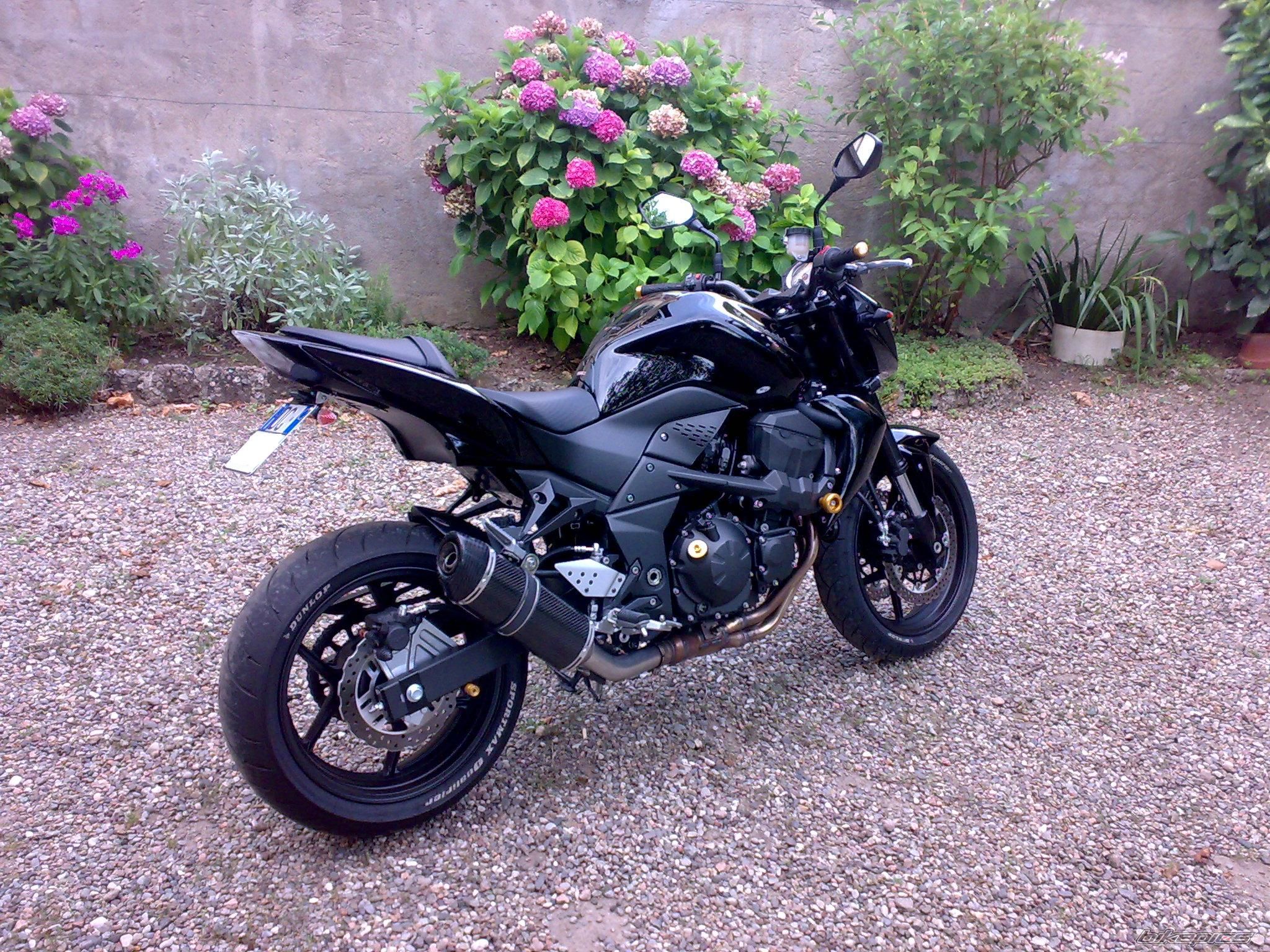 Photo 1372347