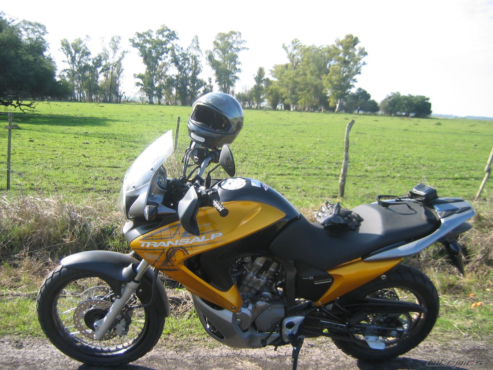 Photo 1372377