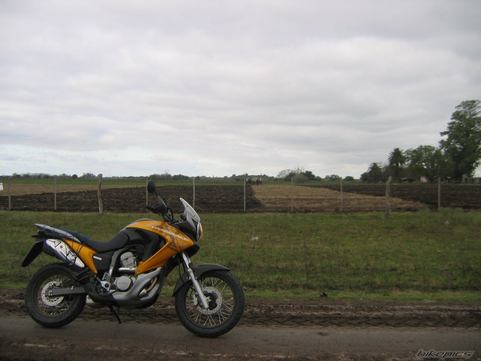 Bike Photo 1372378