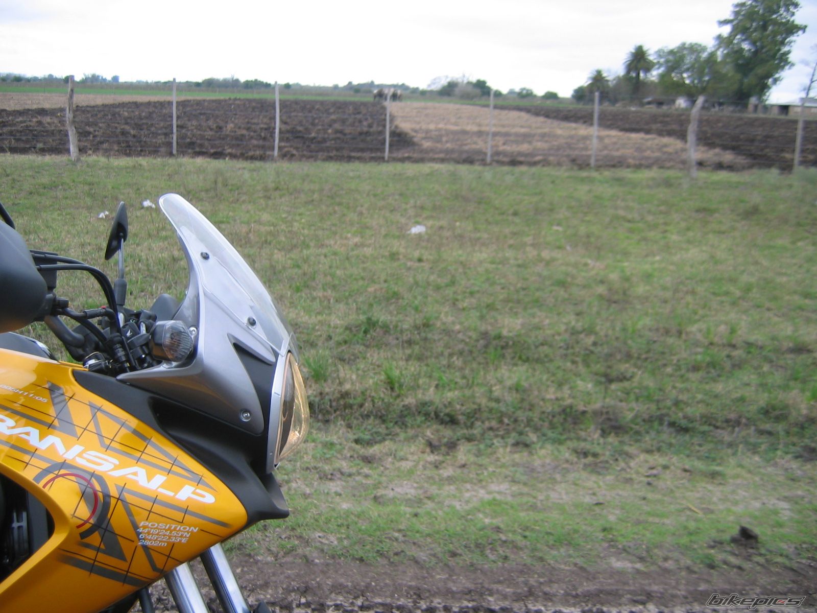 Photo 1372379