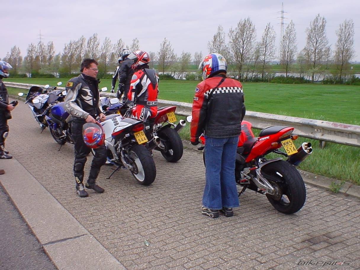 Photo 137242