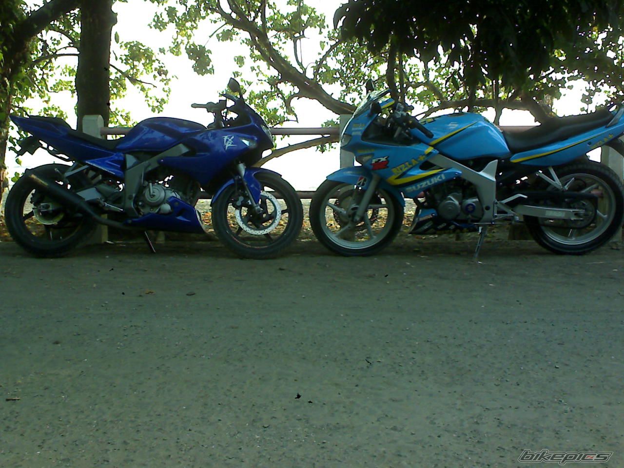 Bike Photo 1372457