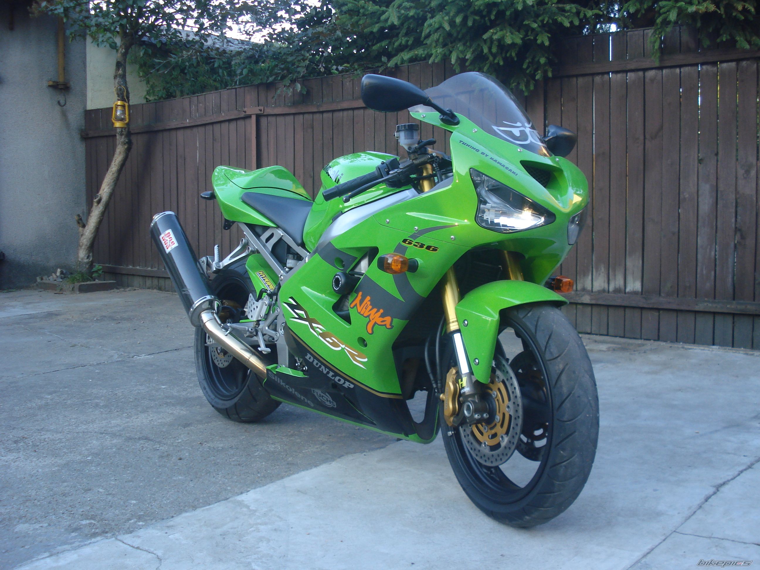 Photo 1372470