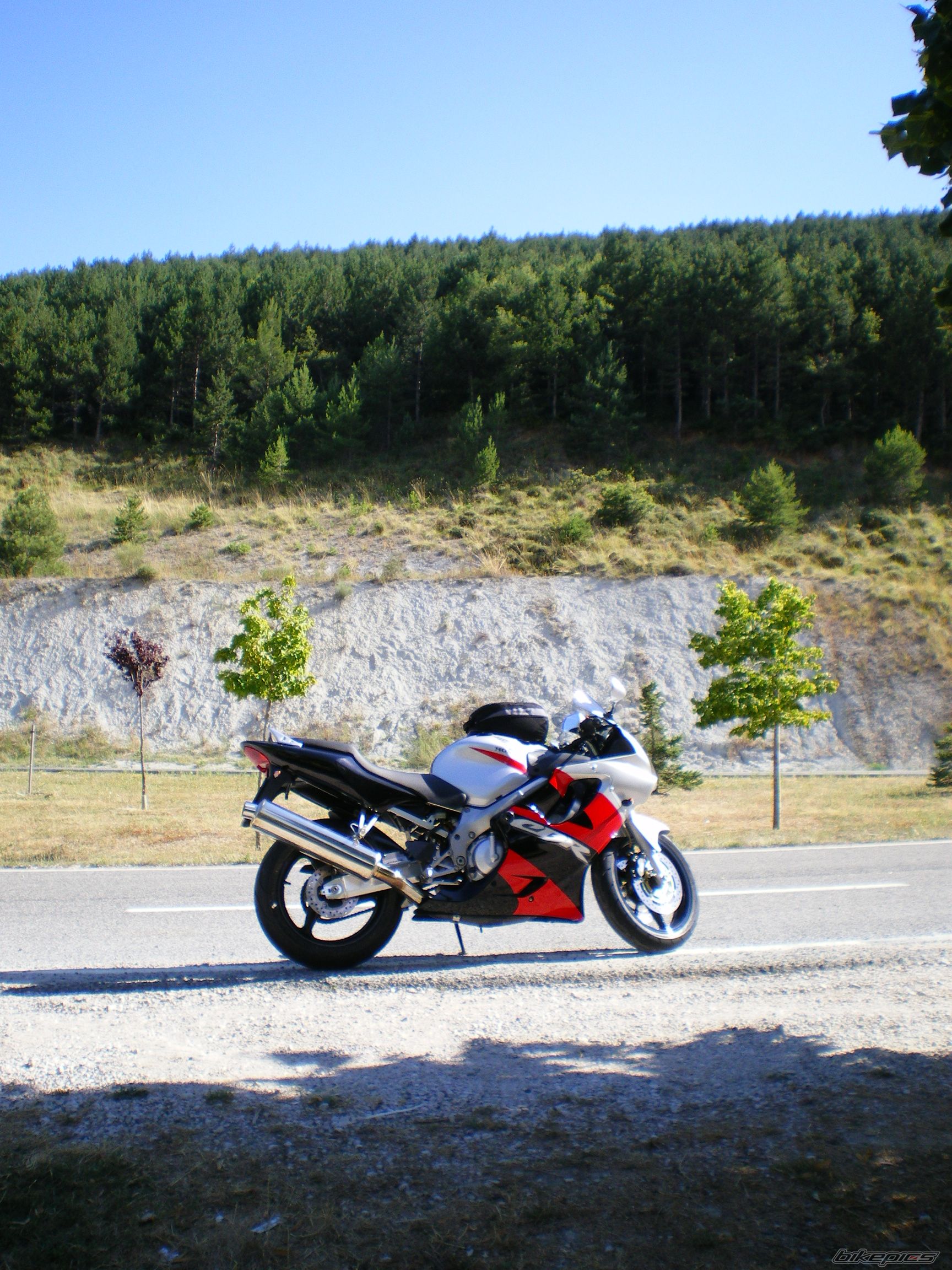 Photo 1372491