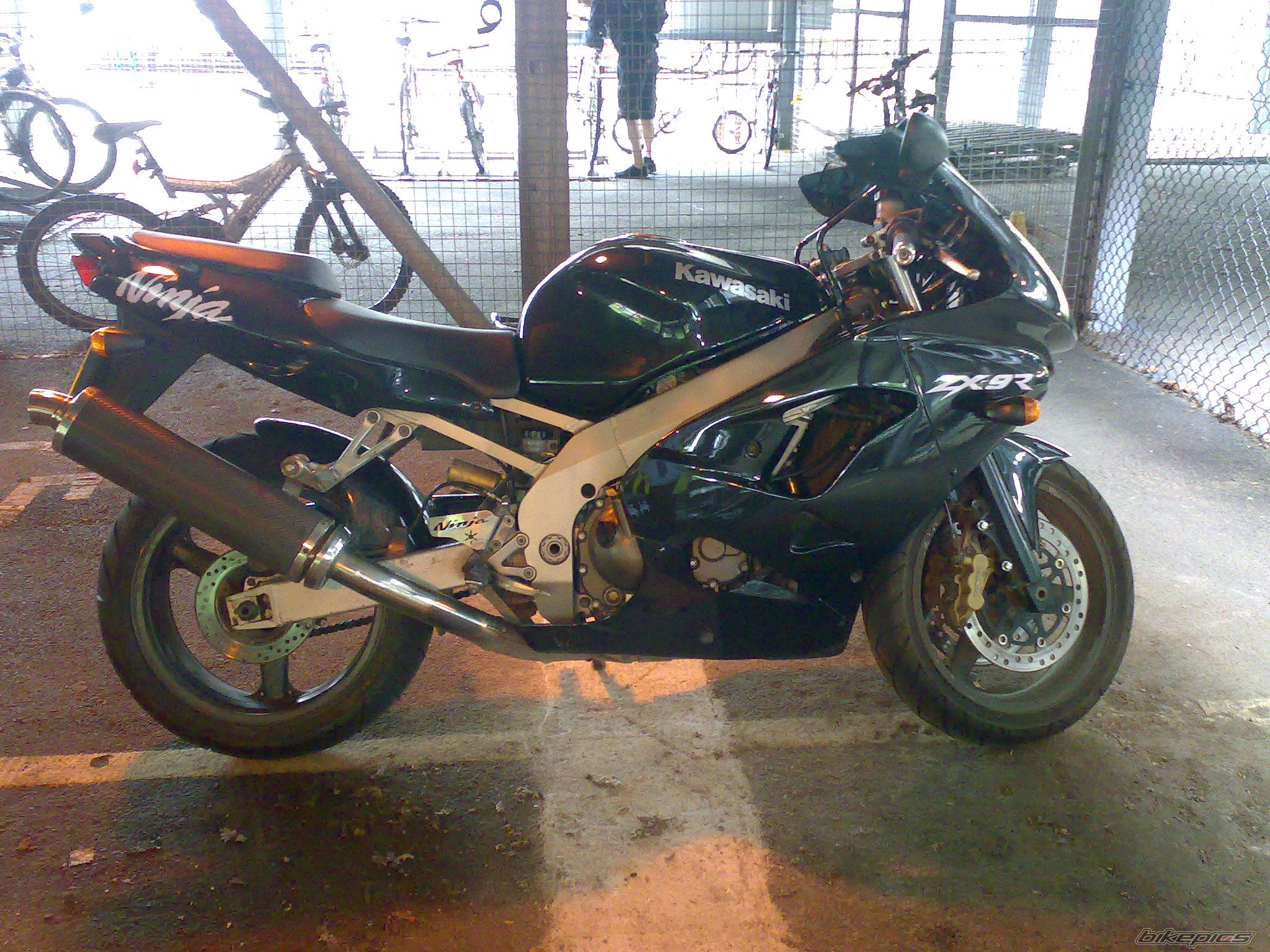 Photo 1372665