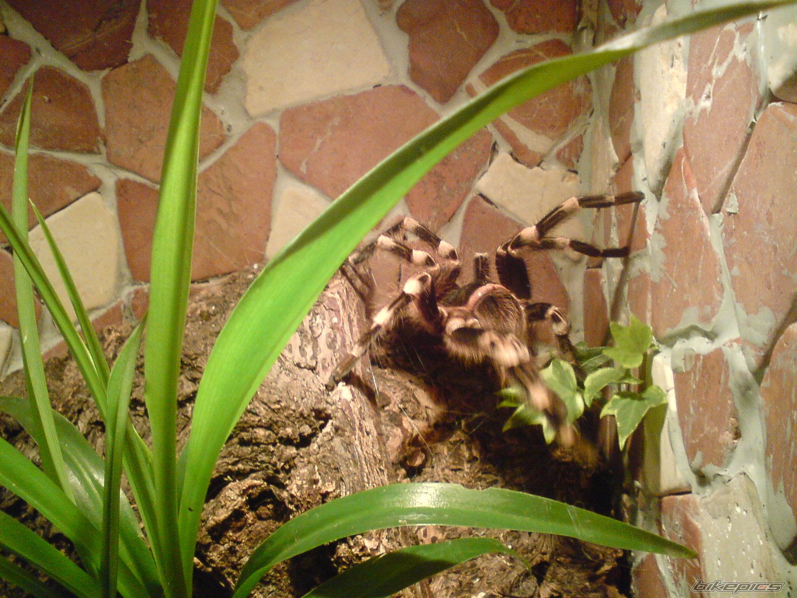 Photo 1372680
