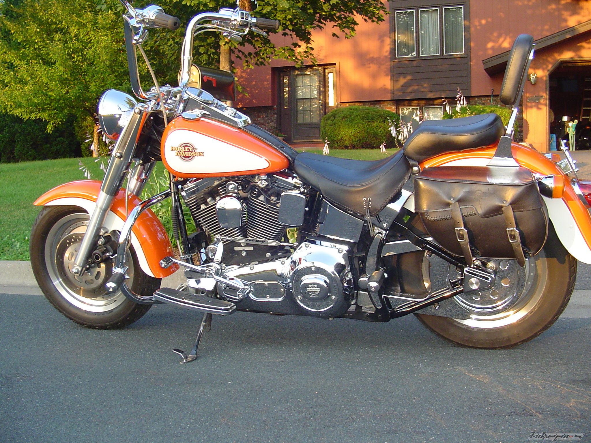 Photo 1372769