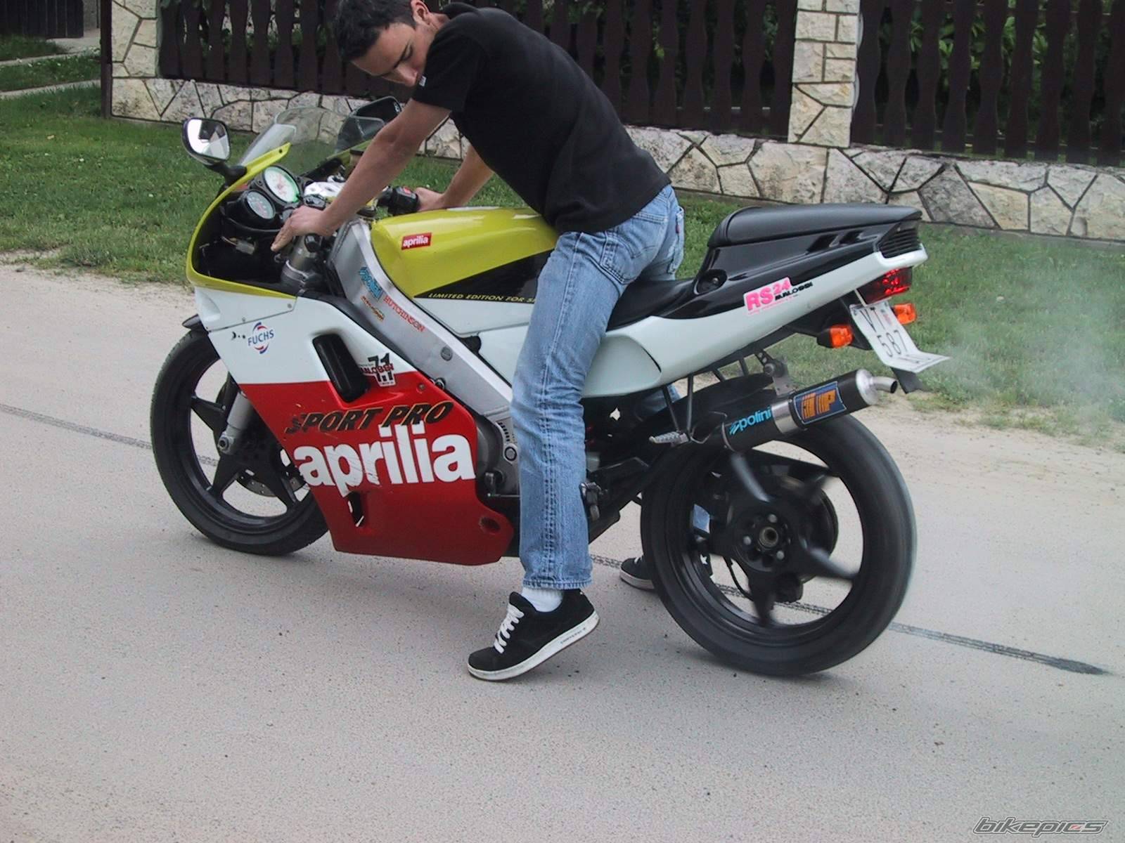 Photo 137277