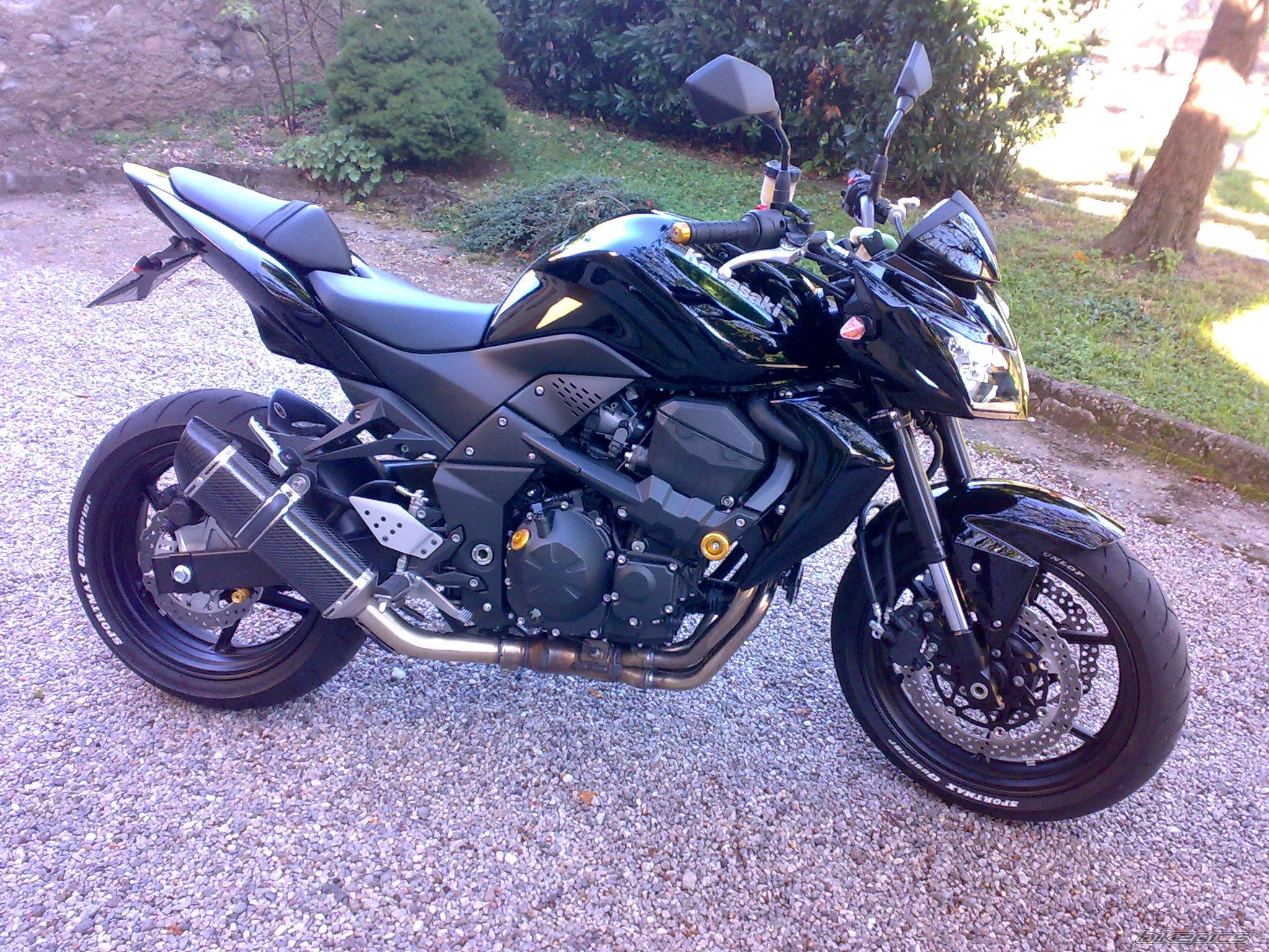 Photo 1372788