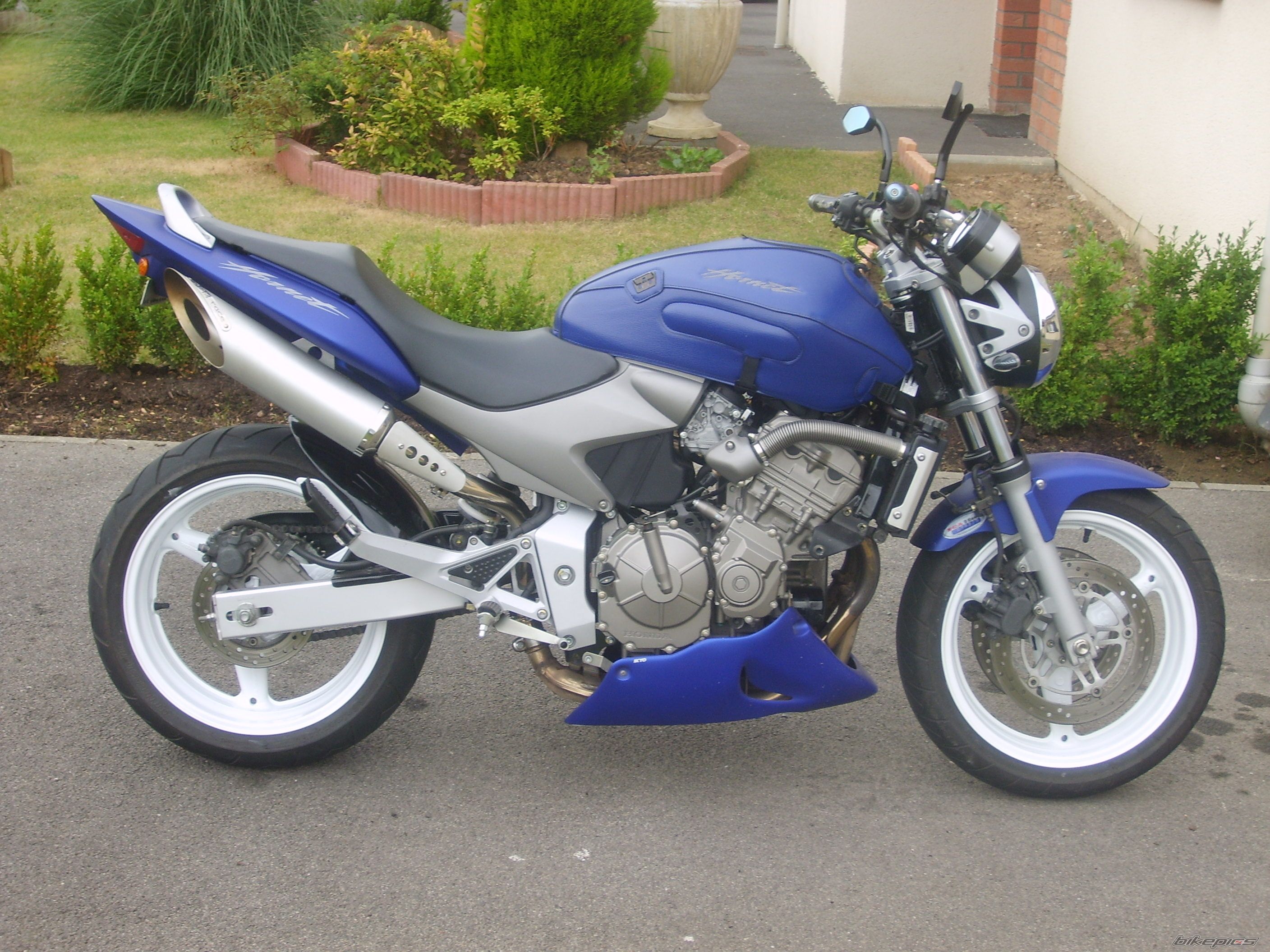 Photo 1372871