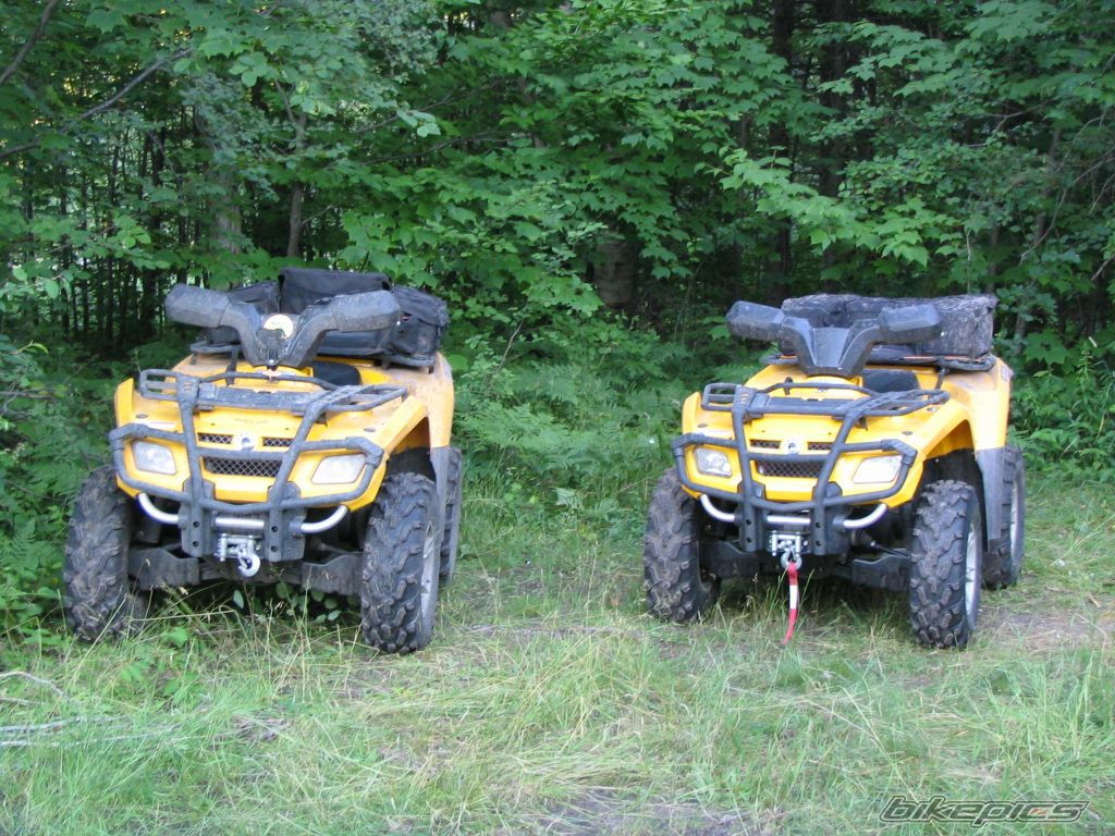 Photo 1372915