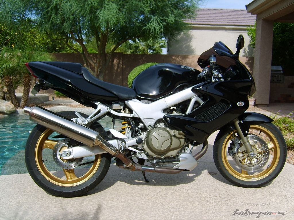 Photo 1372929