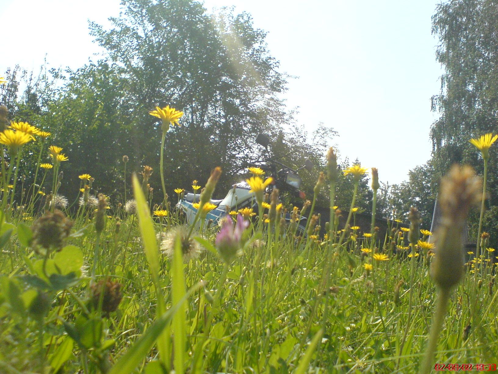 Photo 1372940