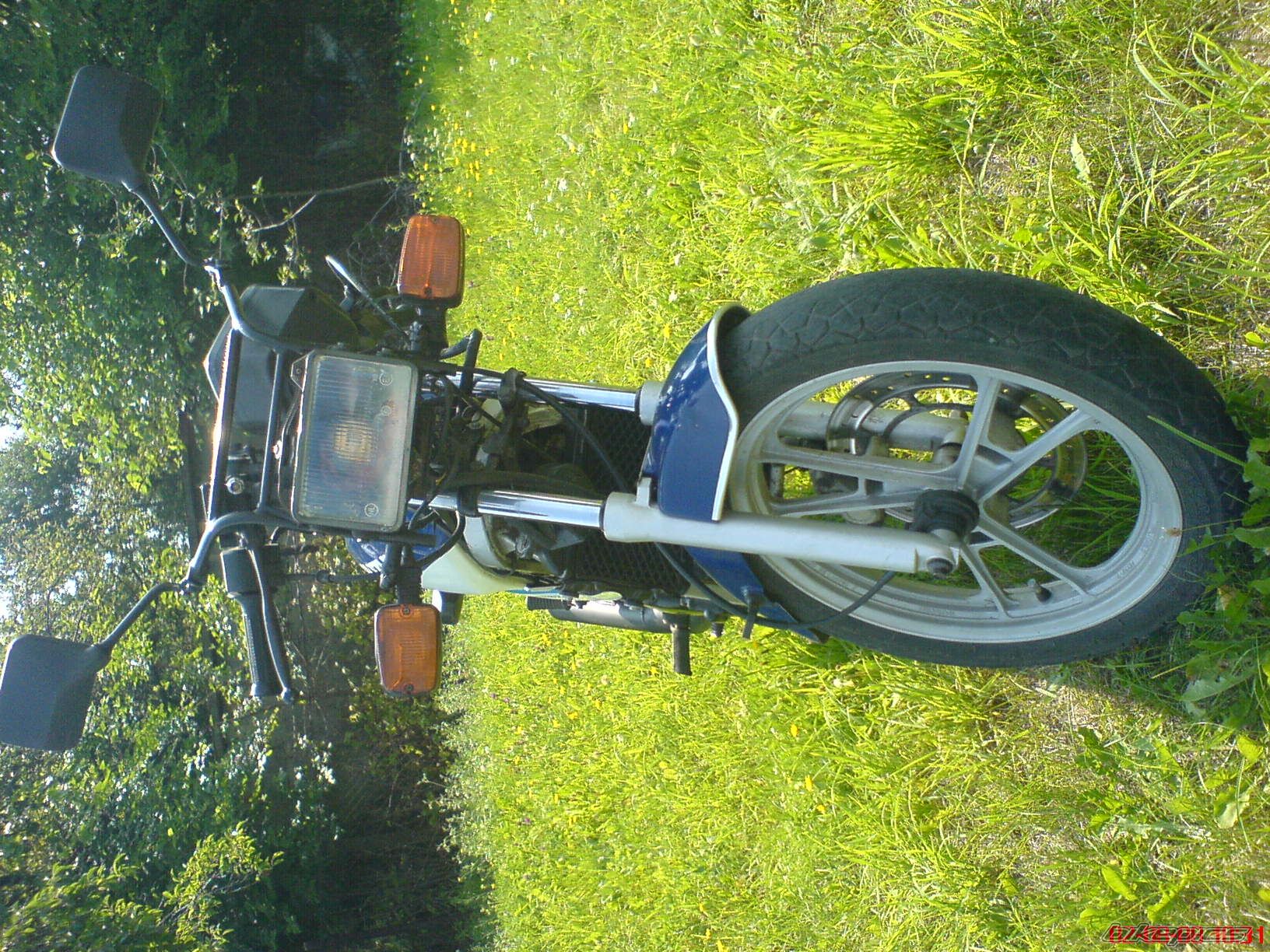 Photo 1372946