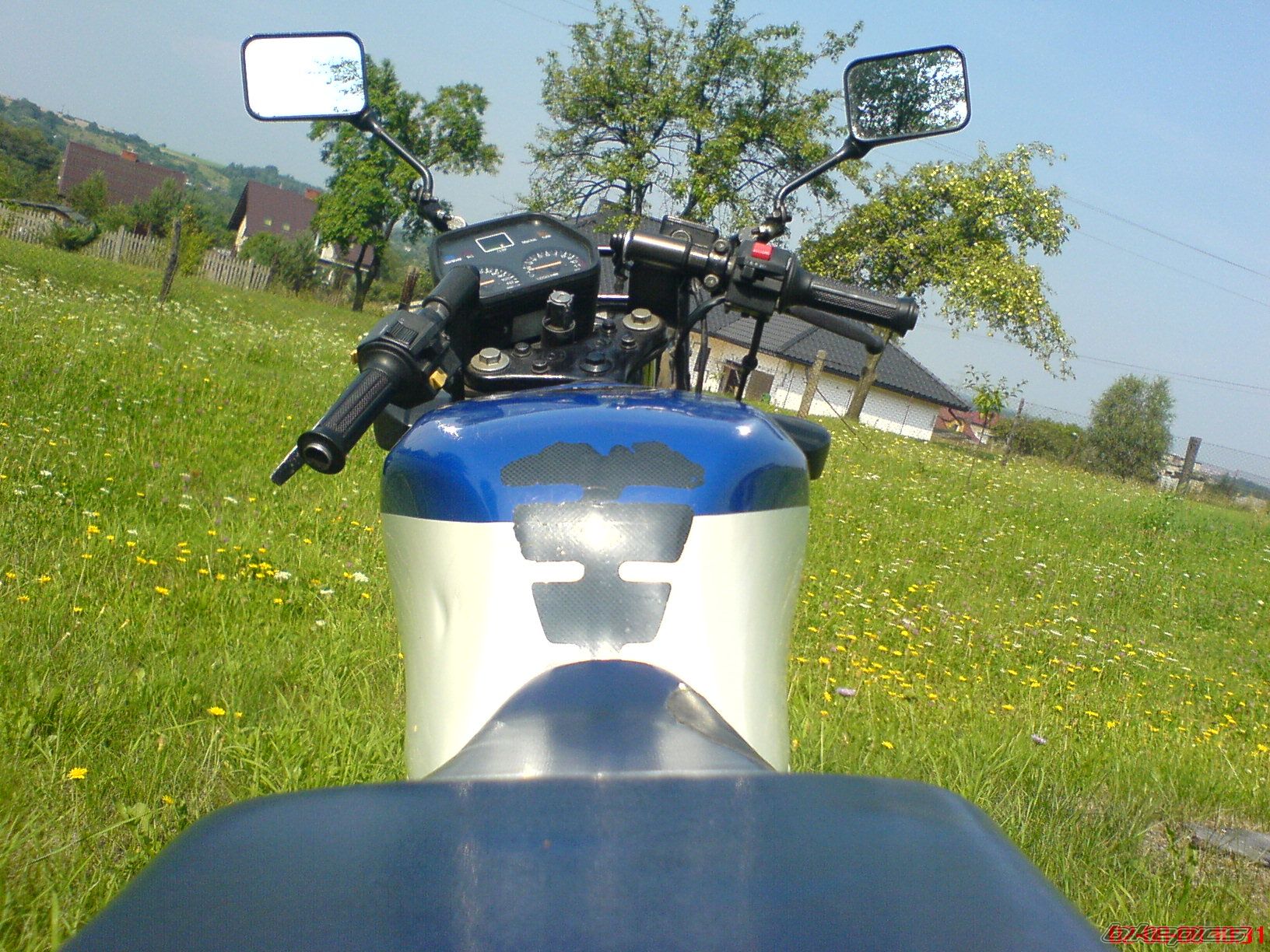 Photo 1372953