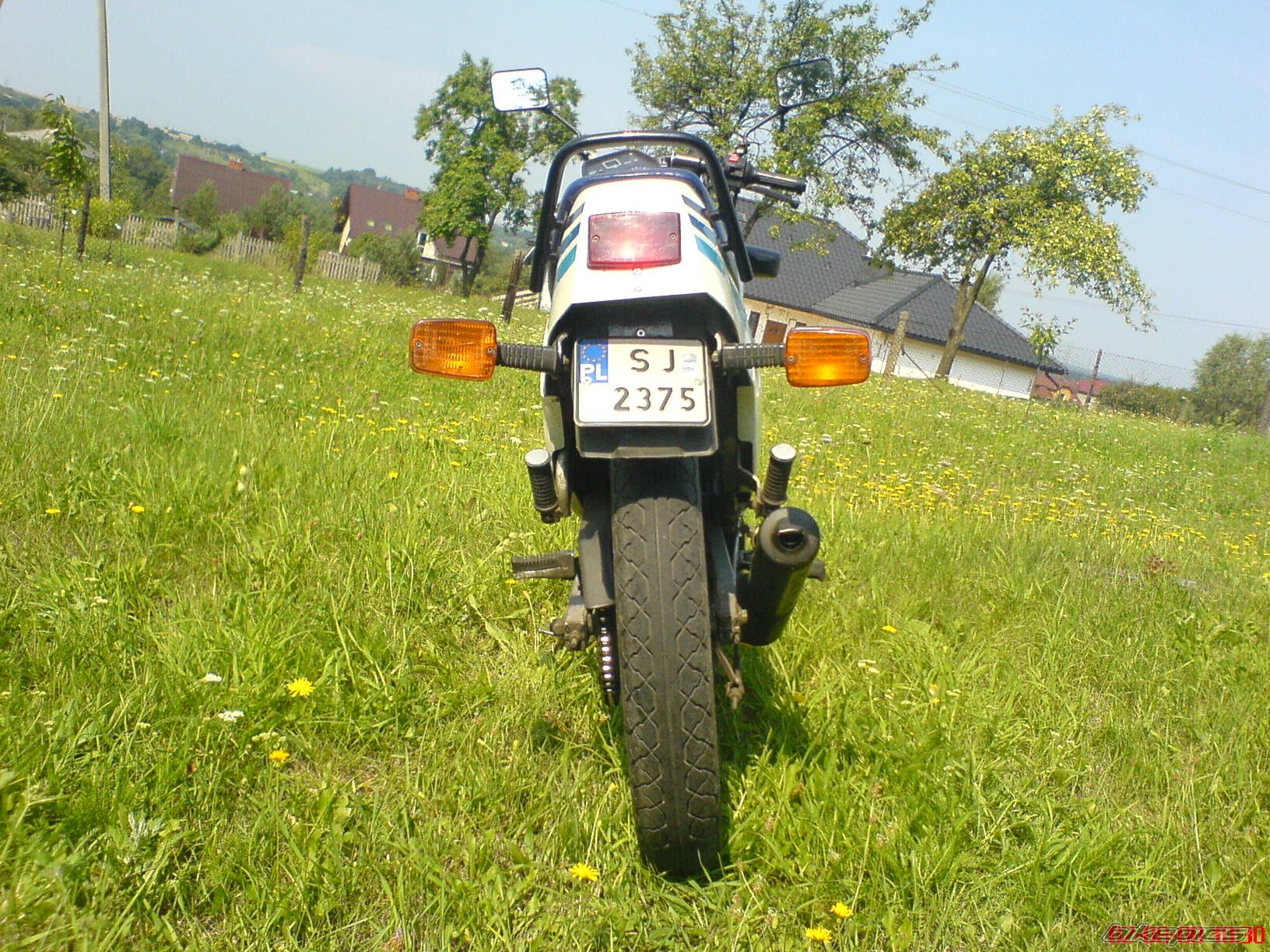 Photo 1372954