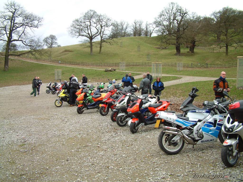 Photo 137296