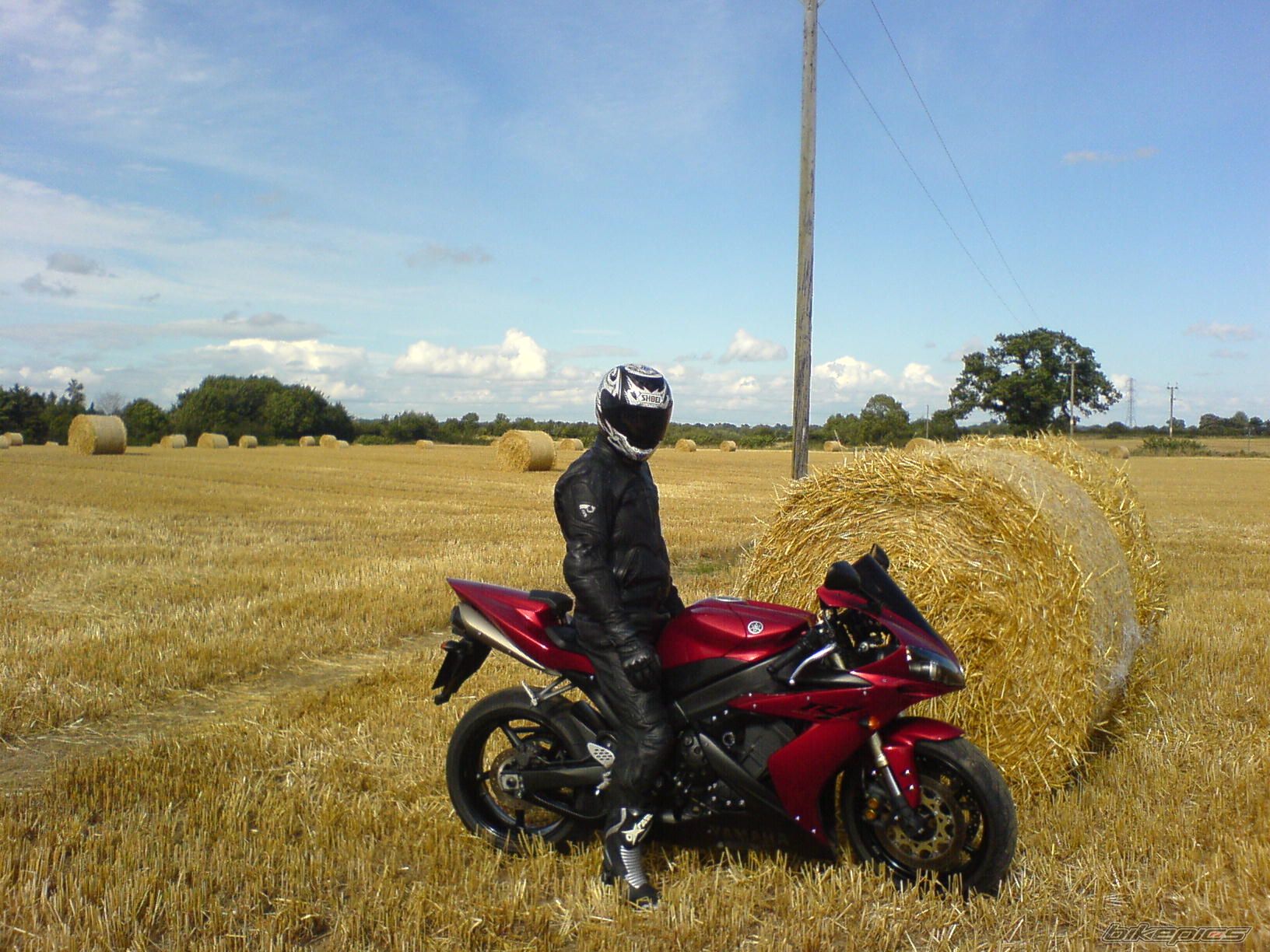 Photo 1373078