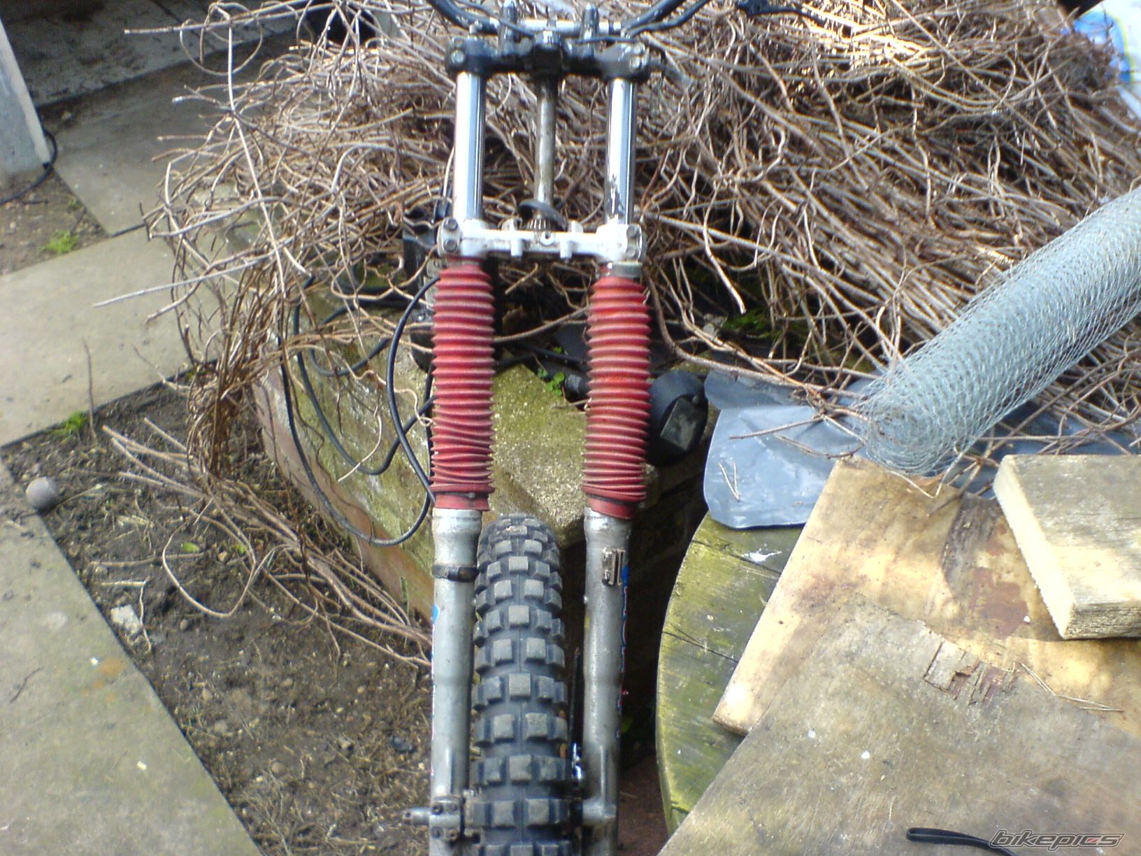 Photo 1373115