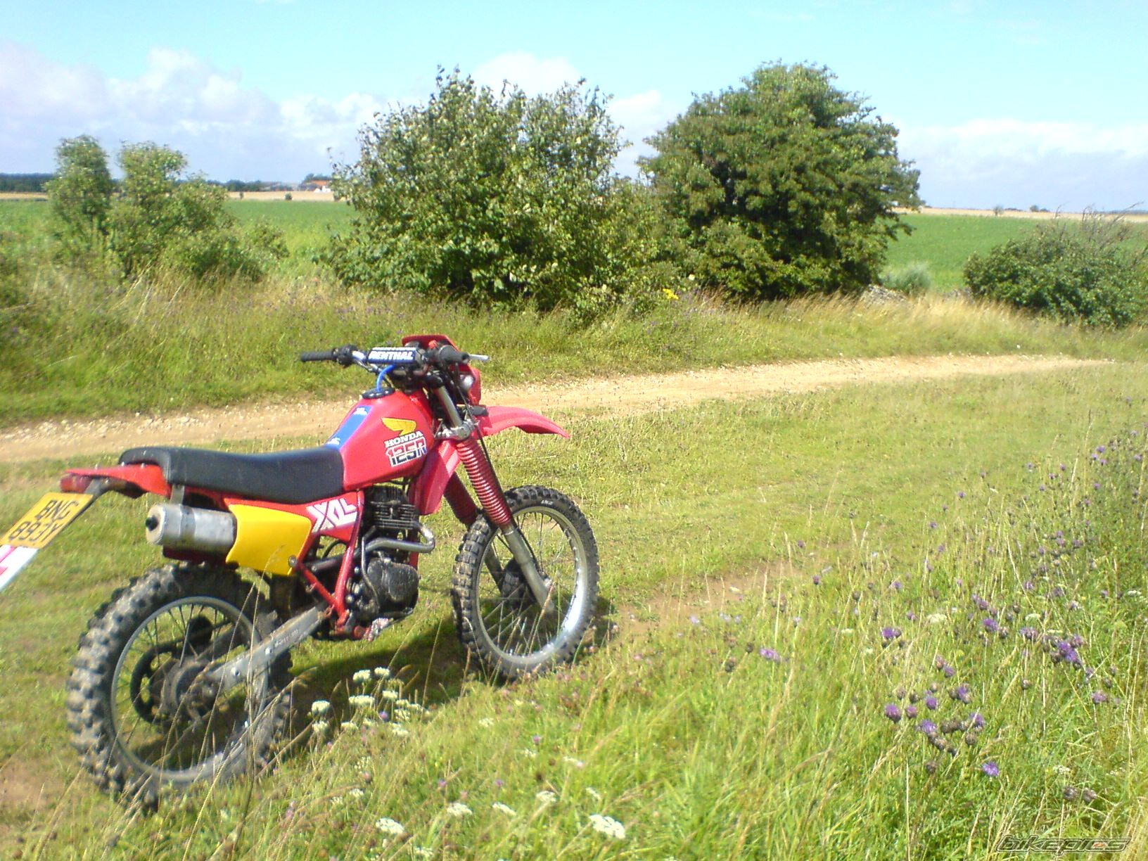 Photo 1373134