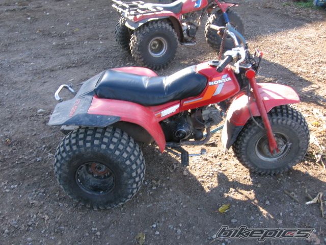 Photo 1373144
