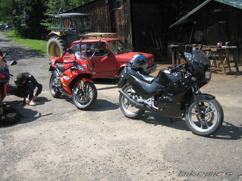 Photo 1373178