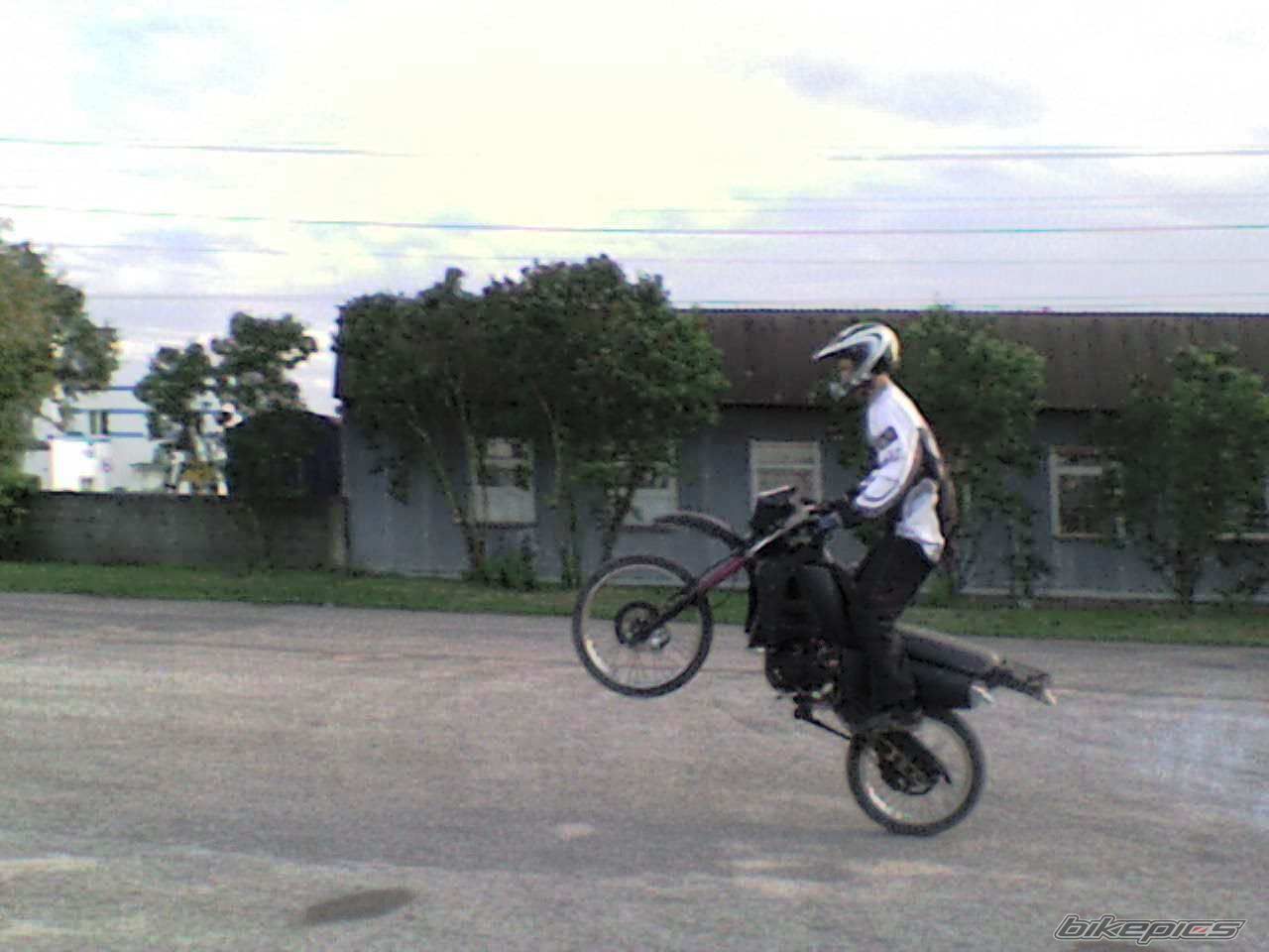 Photo 1373193