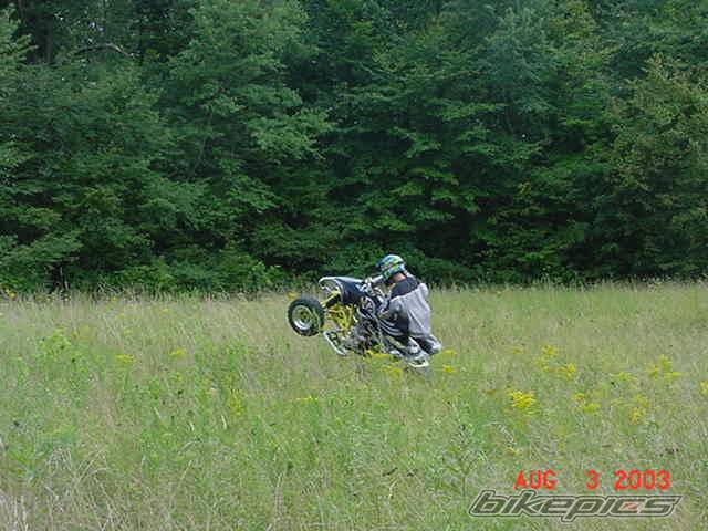 Photo 137320
