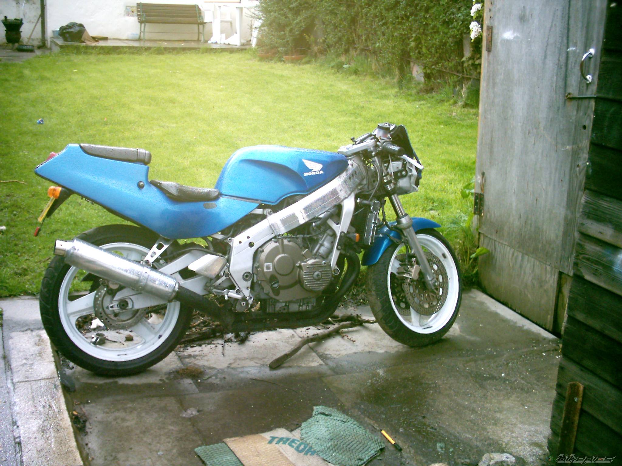 Photo 137329