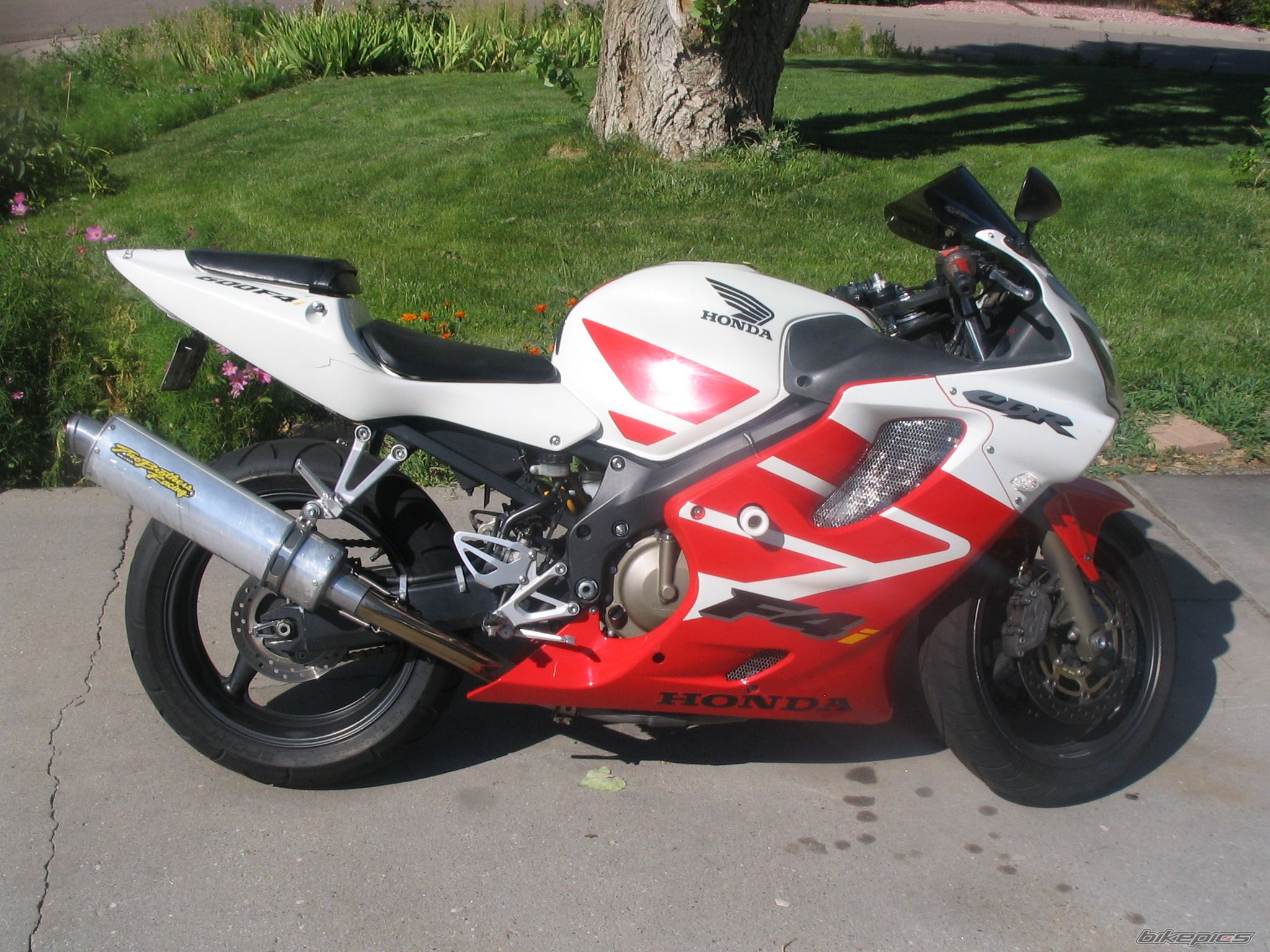 Photo 1373291