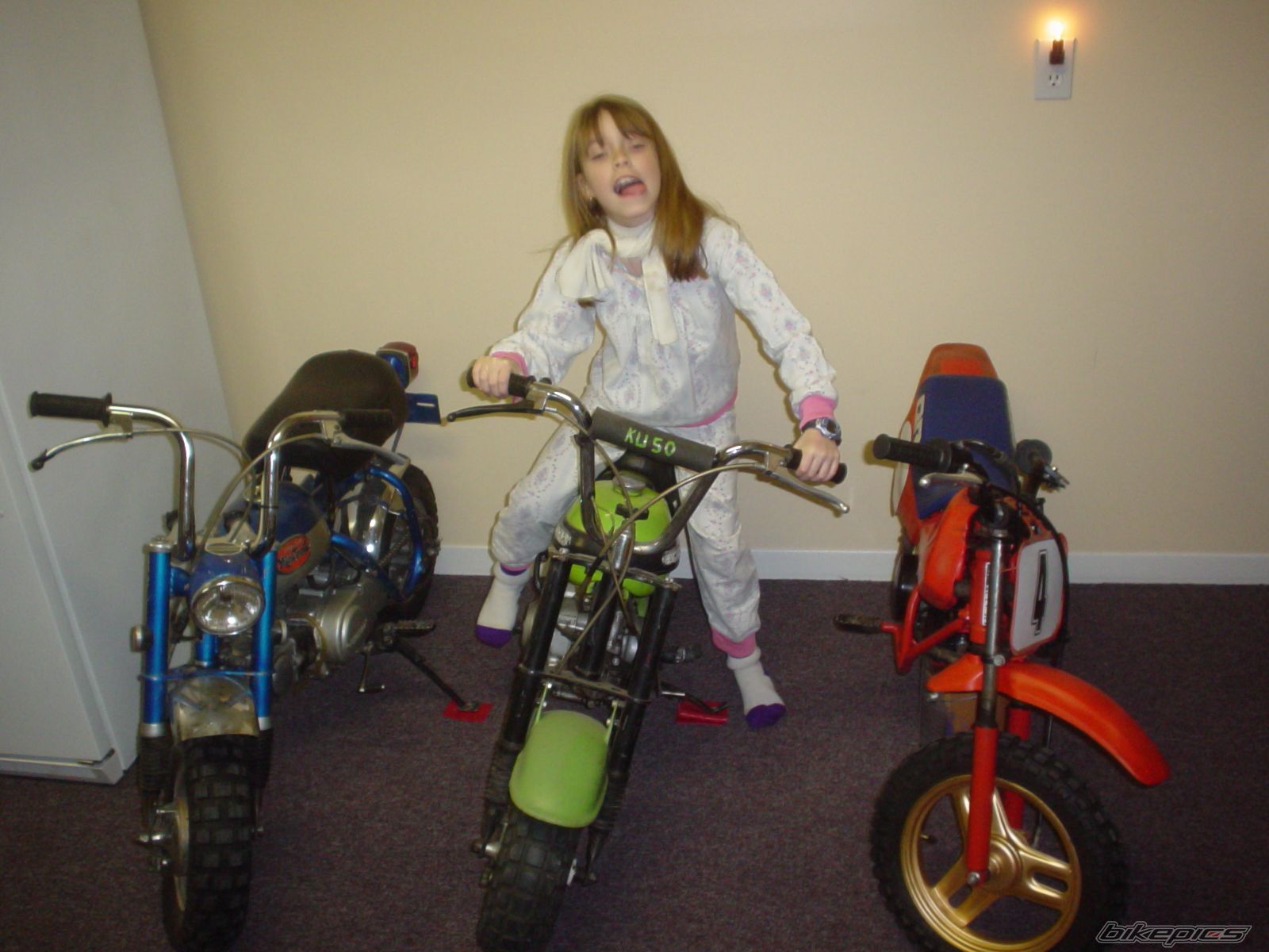 Photo 1373333