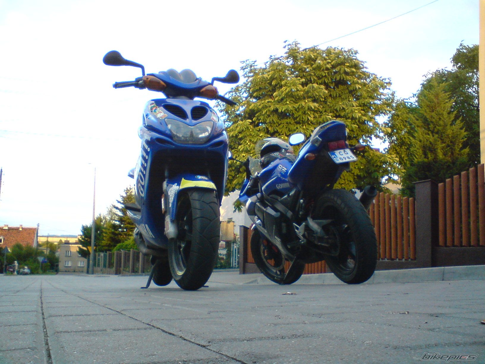 Photo 1373414