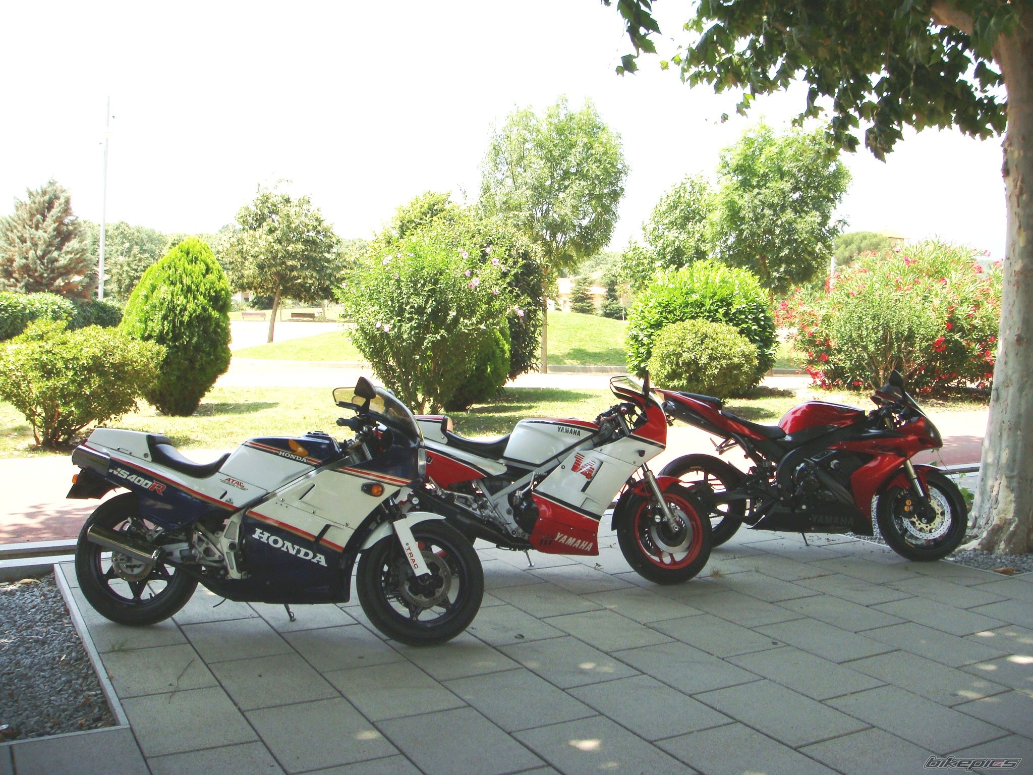 Photo 1373449