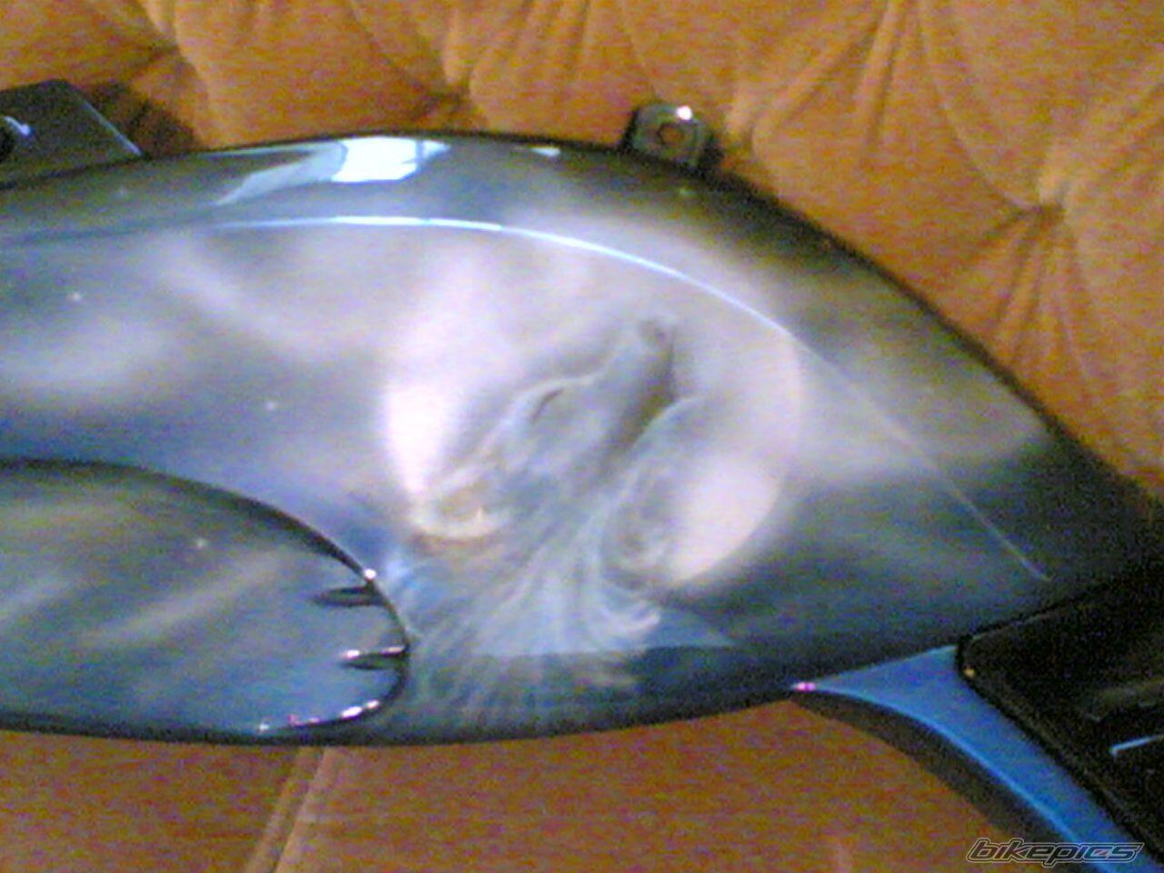 Photo 1373652