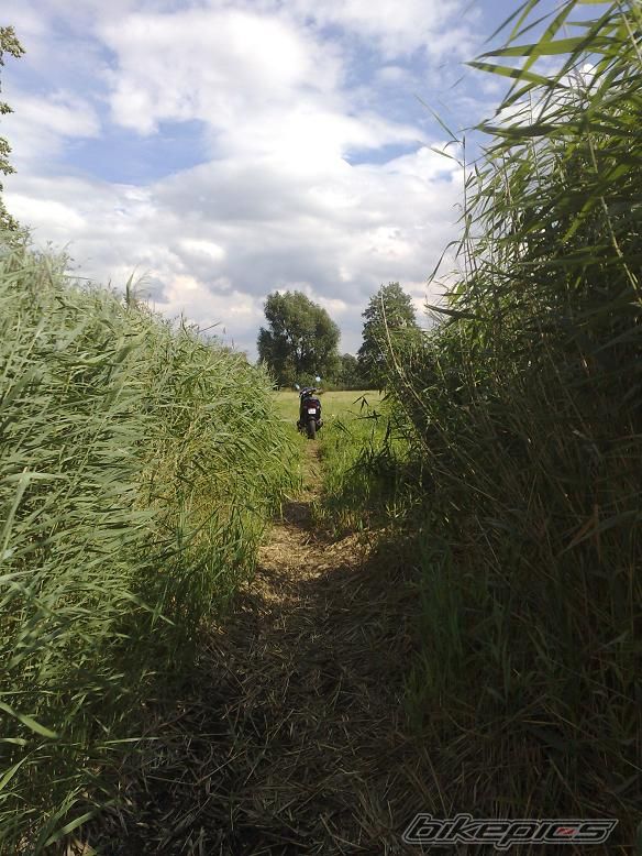 Photo 1373692