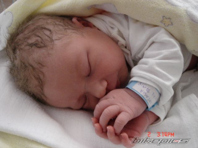 Photo 1373702