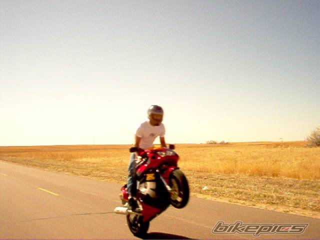 Photo 137384