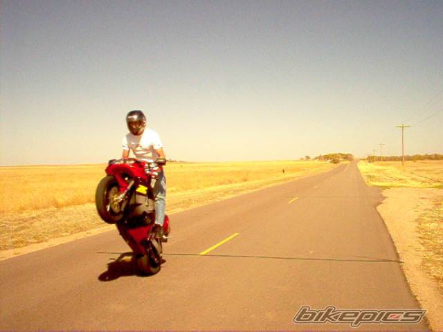 Photo 137385