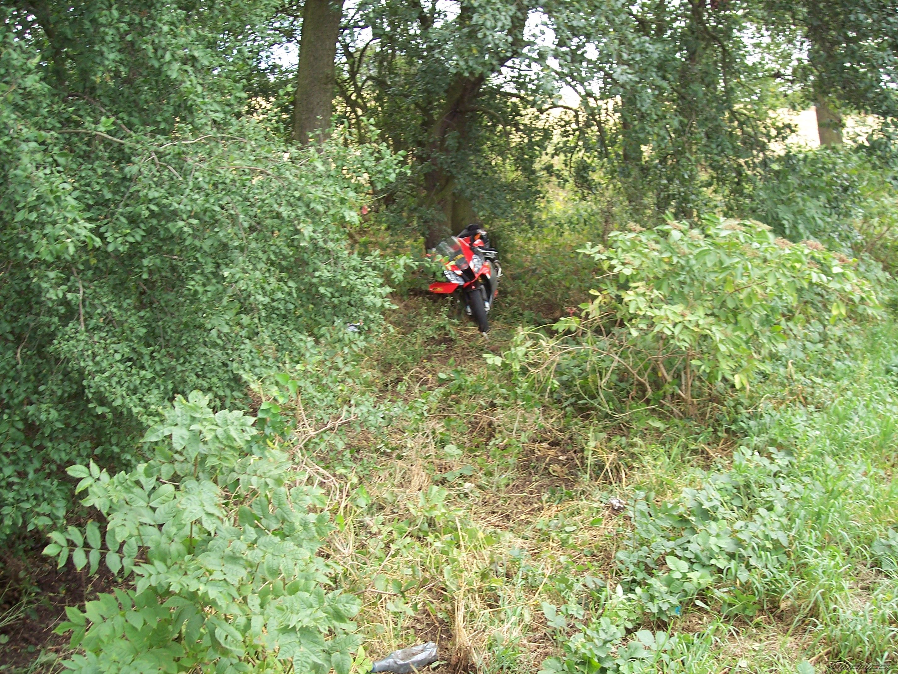Photo 1373892