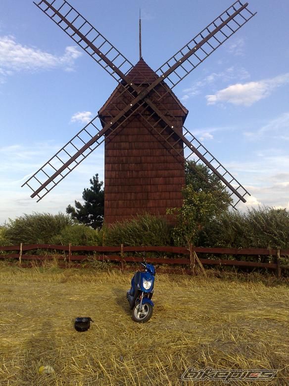 Photo 1373950