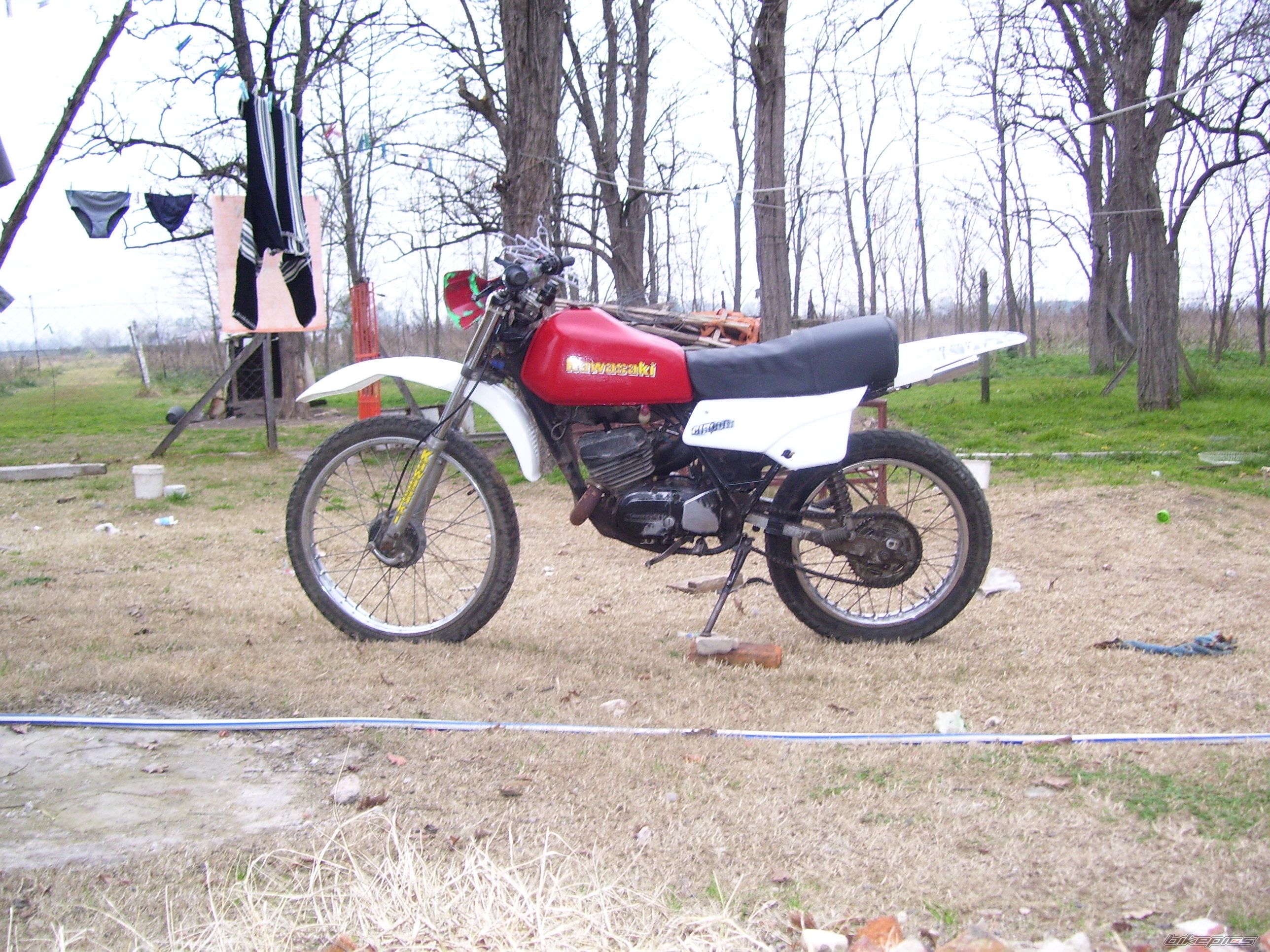 Photo 1373991