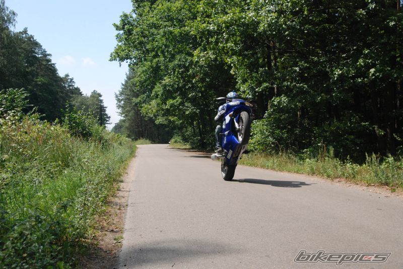 Photo 1374024