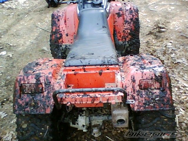 Photo 1374257
