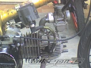 Photo 1374269