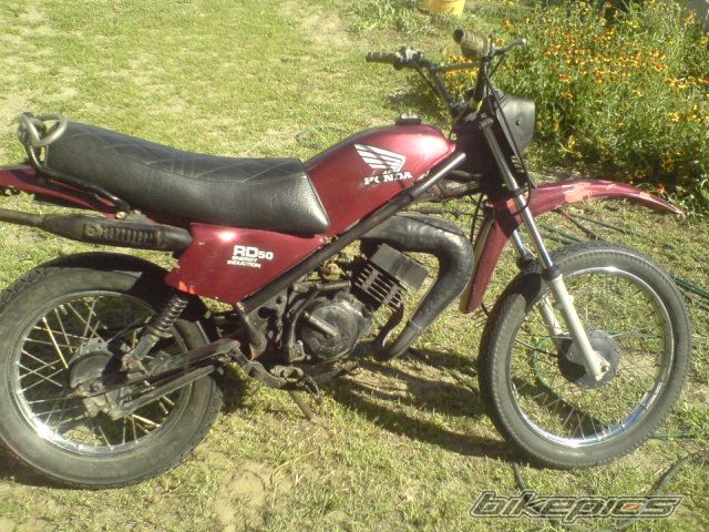 Photo 1374448
