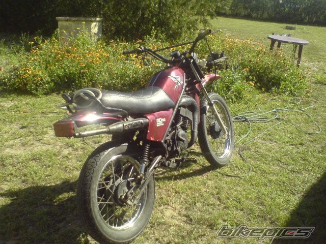 Photo 1374450
