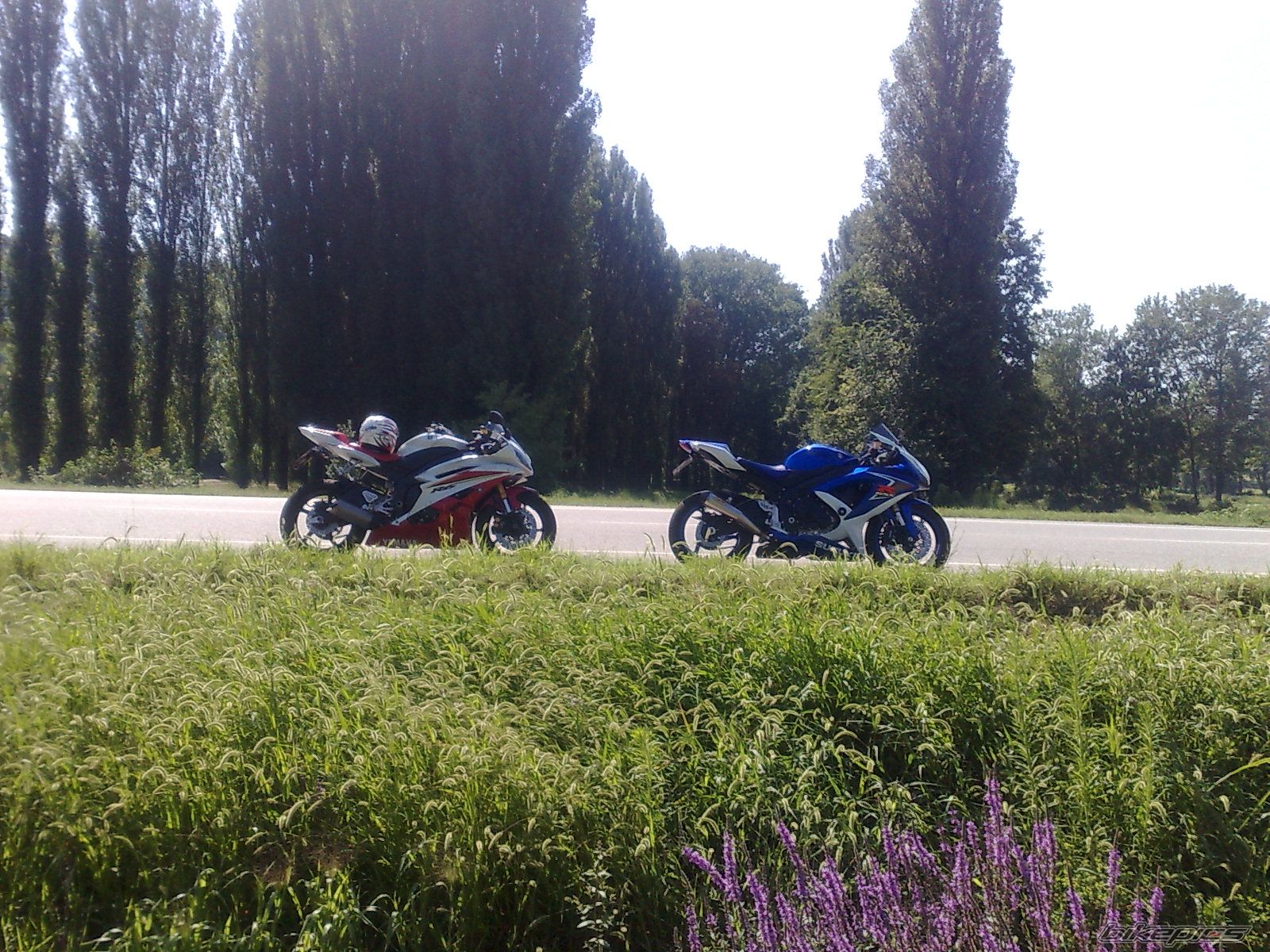 Bike Photo 1374469